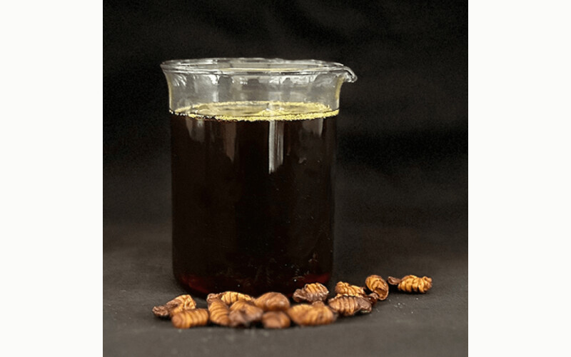 Loopworm oil
