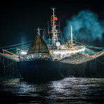 A squid jigger fishing at night with lights on