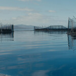 A Tassal salmon farm in Tasmania