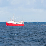 A cod fishing vessel