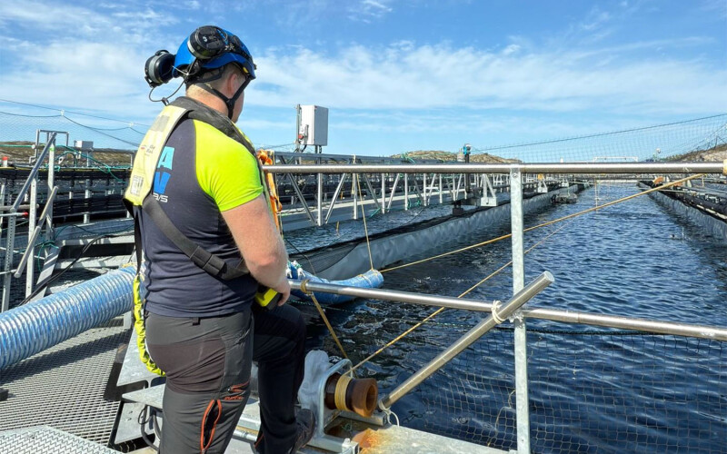 A Gigante Salmon worker looking at one of the company's salmon tanks