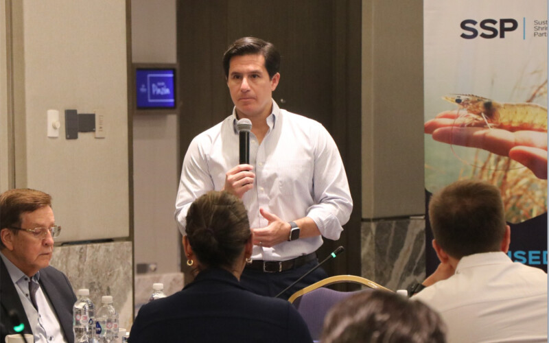 CNA Executive President José Antonio Camposano presenting at the first session of the Energy Working Group