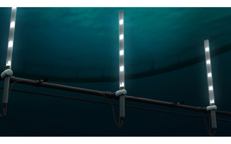 Blue Lice's innovative sea lice prevention technology