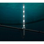 Blue Lice's innovative sea lice prevention technology