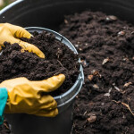 Waste destined for reuse as fertilizer