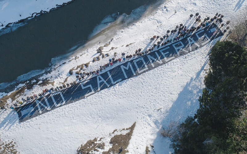 Protests against salmon farming in Argentina's Tierra del Fuego region led to a ban on salmon farming in the region in 2021
