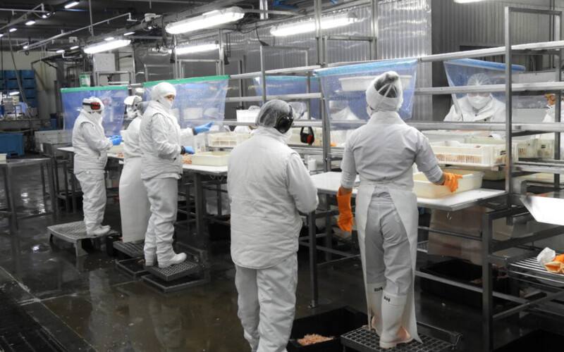 Employees with Red Chamber in the former Alpesca facility