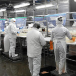 Employees with Red Chamber in the former Alpesca facility