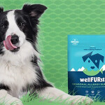 A dog sitting next to a bag of Trident's wellFURst dog health product
