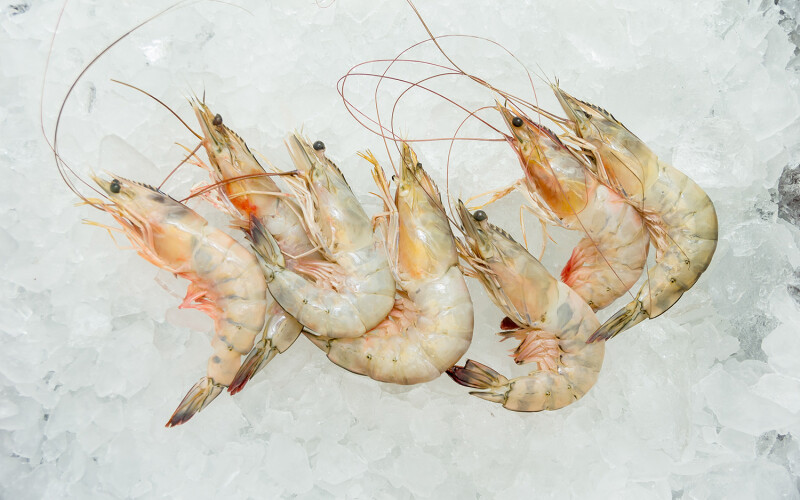 shrimp on ice