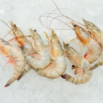 shrimp on ice