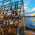 Cod drying on a rack off the Barents Sea