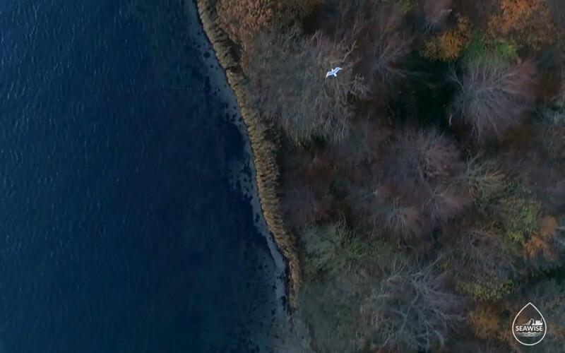 Screenshot from SEAwise documentary