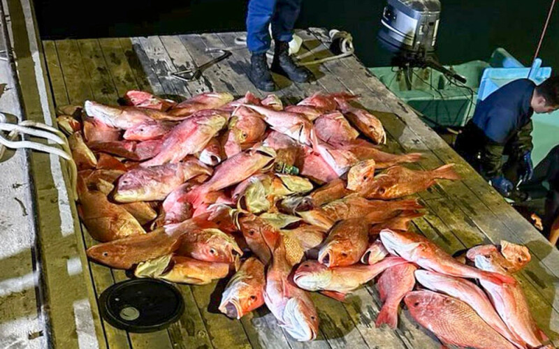illegally harvest red snapper seized by the U.S. Coast Guard