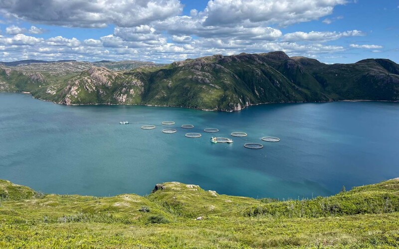 Mowi salmon farms in Newfoundland, Canada