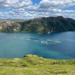 Mowi salmon farms in Newfoundland, Canada