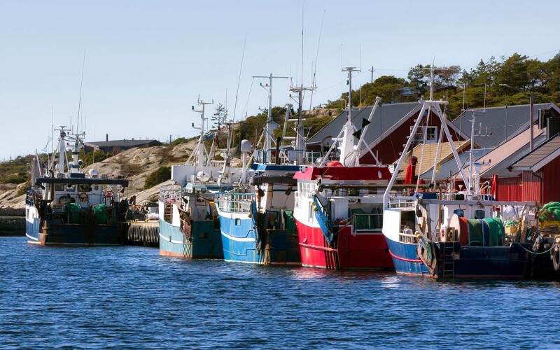 Norwegian fishing boats docked in a small town