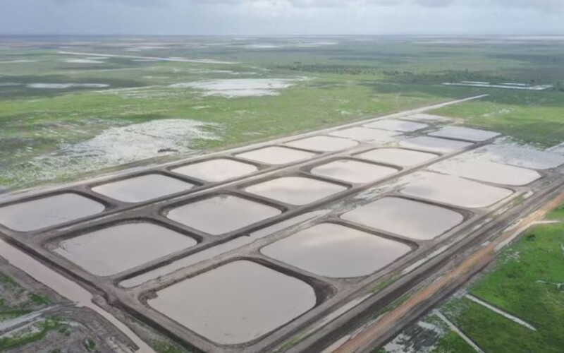 An aerial view of Seafarms Group Limited's prawn farms