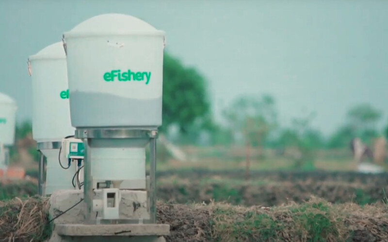 An eFishery automated feeder