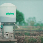 An eFishery automated feeder
