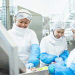 Bakkafrost processing workers