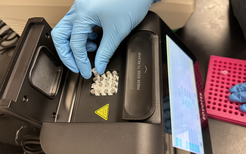 SeaD Consulting’s Rapid ID Genetic High-Accuracy Test (RIGHTTest)