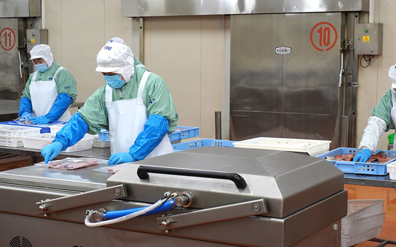 A Chinese fish-processing factory