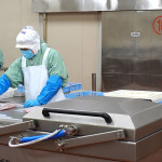 A Chinese fish-processing factory