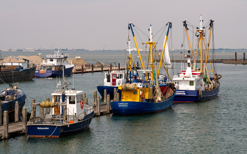 Fishing boats in the Western Scheldt in the Netherlands, part of which is heavily polluted with PFAS due to factory runoff