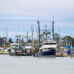 fishing vessels