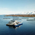 A Mowi salmon farm