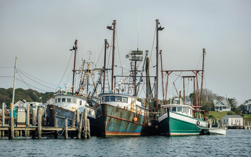 Amendment 25 has proven unpopular with the commercial fishing sector, which claims the new plan would hurt fishers.