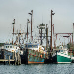 Amendment 25 has proven unpopular with the commercial fishing sector, which claims the new plan would hurt fishers.