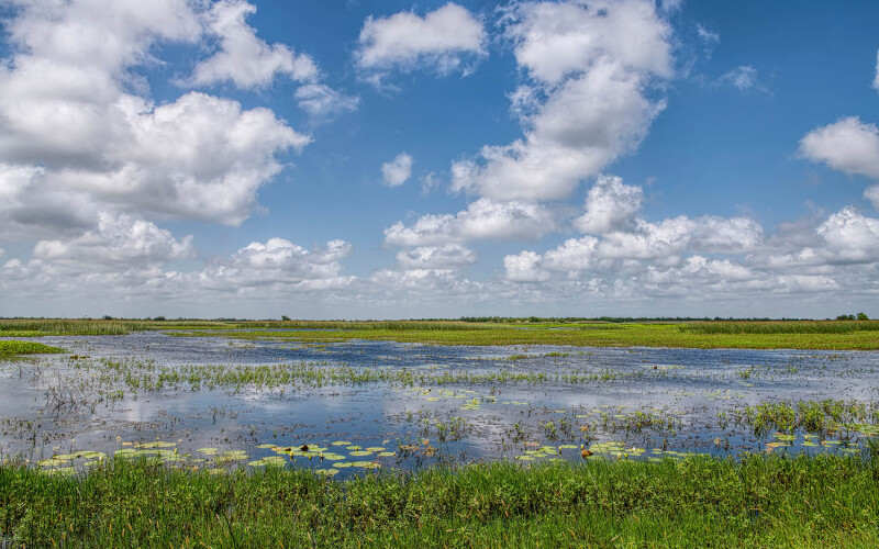 Marsh in Cameron Parish, Louisiana, U.S.A.