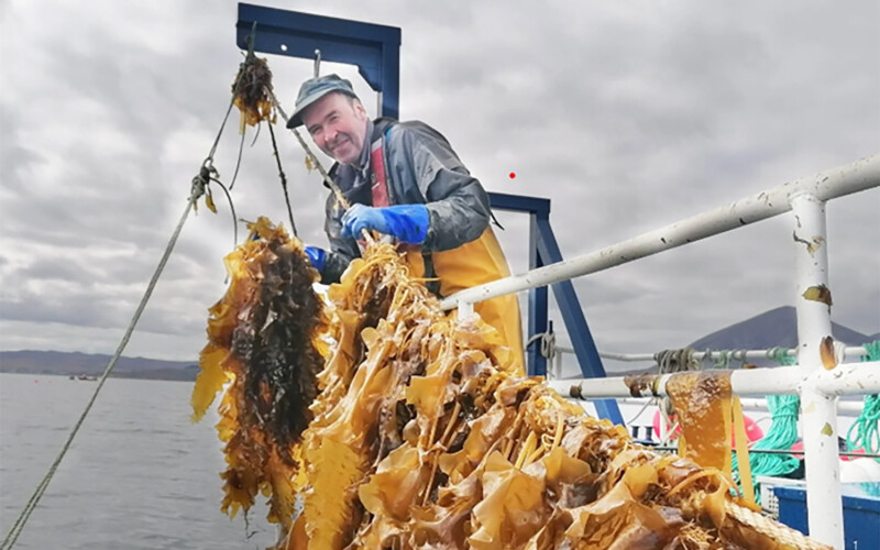 a man happy with his kelp
