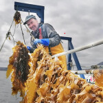 a man happy with his kelp