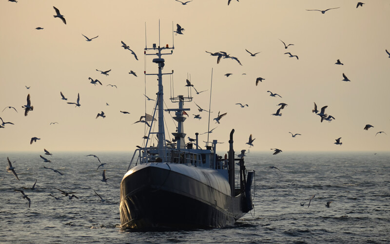 A fishing boat in the Baltic Sea