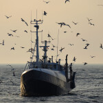 A fishing boat in the Baltic Sea