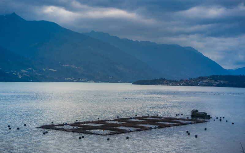 A salmon farm in the Los Lagos region of Chile