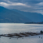 A salmon farm in the Los Lagos region of Chile