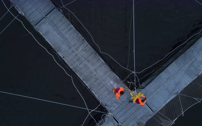 An aerial shot of two Australis employees working on one of the firm's net pens
