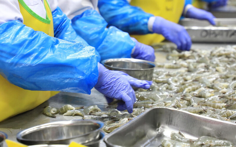 An Indonesian shrimp-processing facility