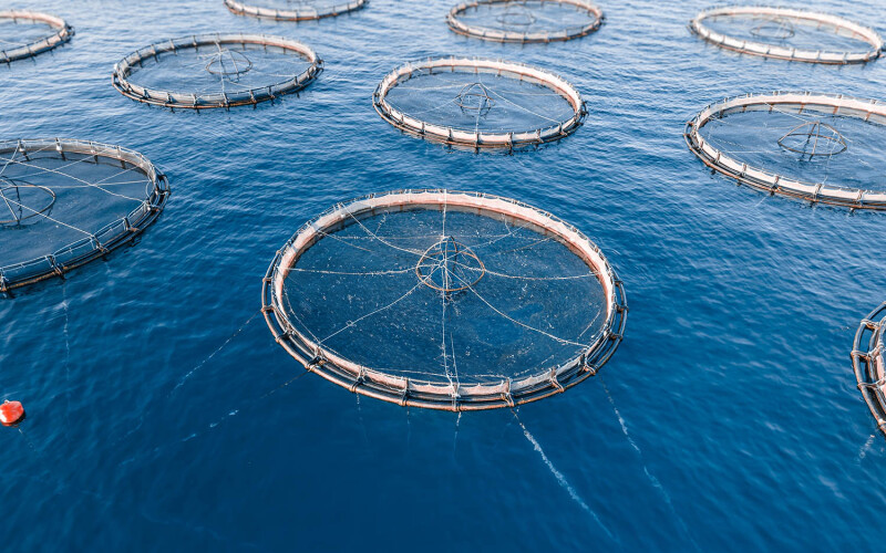 aquaculture