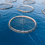 aquaculture
