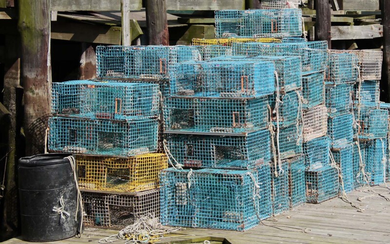 Maine lobster traps