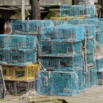 Maine lobster traps