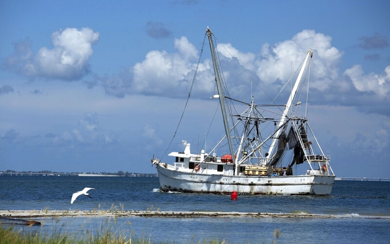 A shrimp vessel