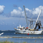 A shrimp vessel