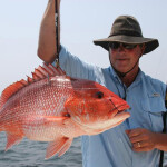 red snapper