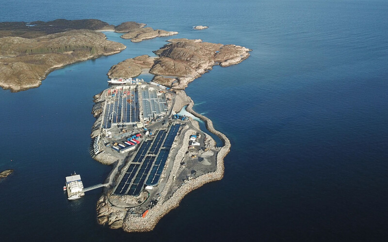 An aerial view of Gigante Salmon's land-based salmon farm